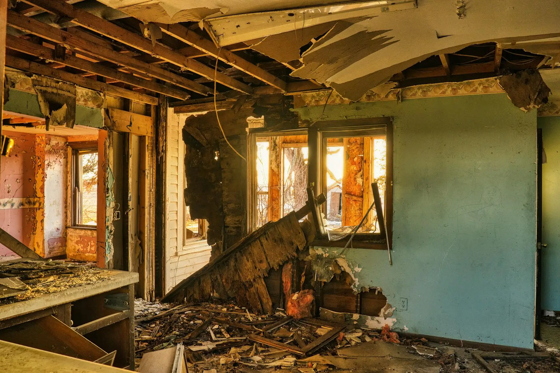 Hialeah's Trusted Local Mold Removal Specialists — Hialeah, FL